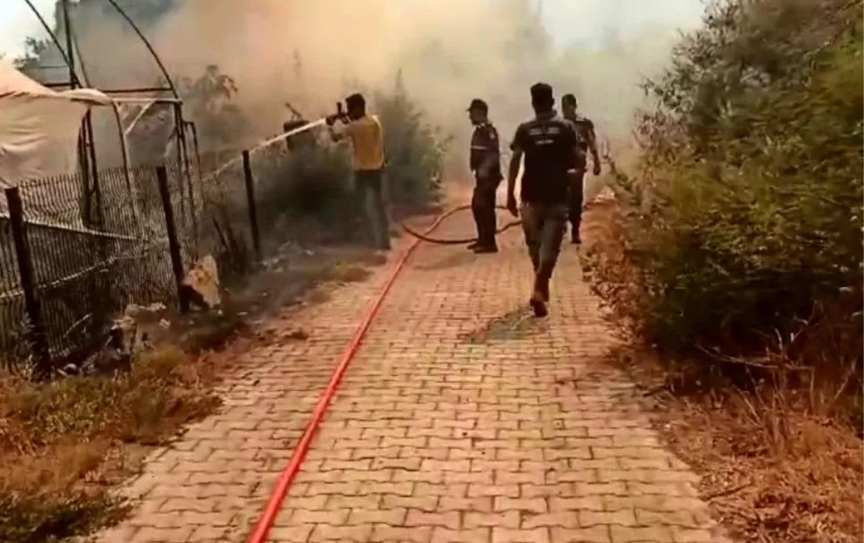 Söke'de Yangın Hızla Büyüyor Söke'de Yangın Hızla Büyüyor